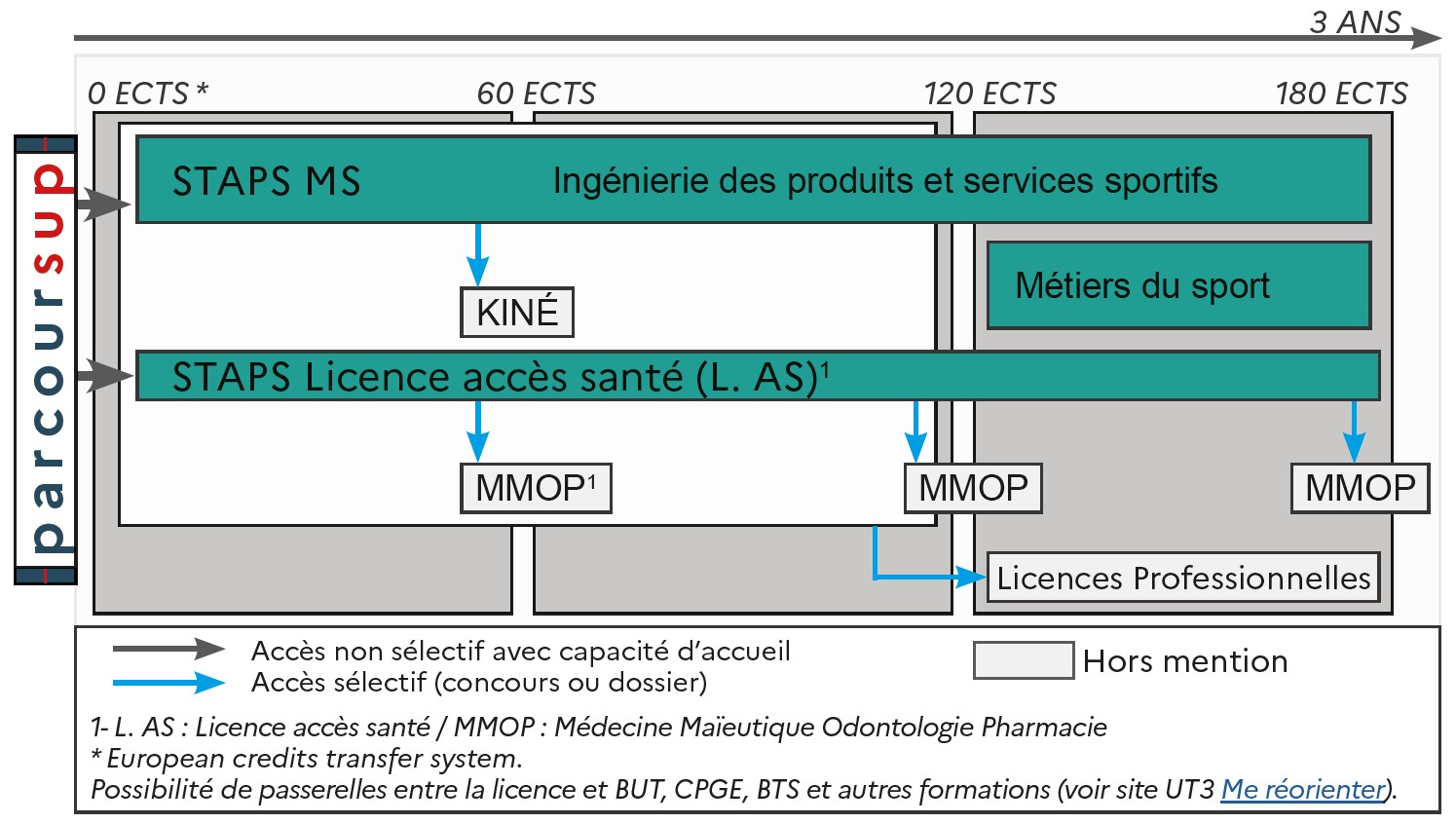 ODF 2024-2025_Mention LicSTPAS_MS_SCHEMA_SCUIO